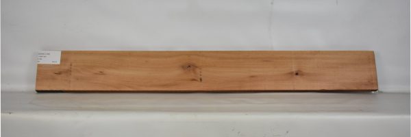 GONC1108_2