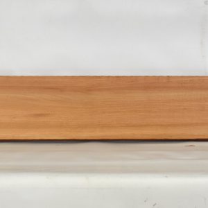 GONC1109_1