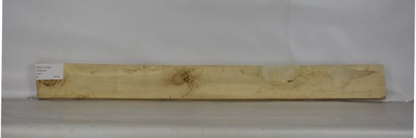 HOLLY1144_2