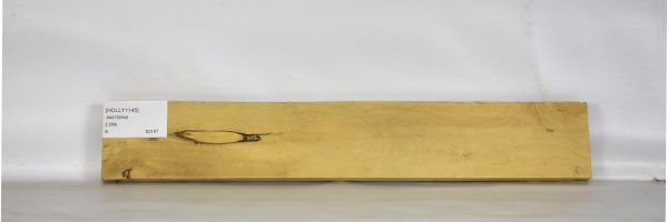 HOLLY1145_1