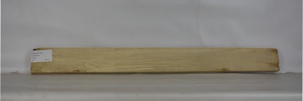 HOLLY1147_2
