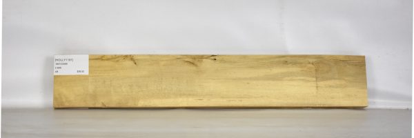 HOLLY1151_1