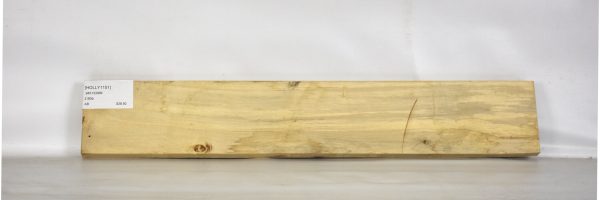 HOLLY1151_2
