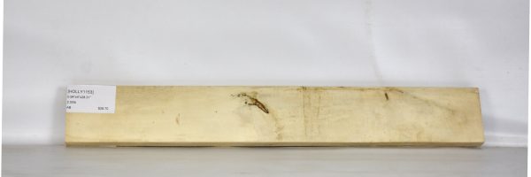 HOLLY1153_2
