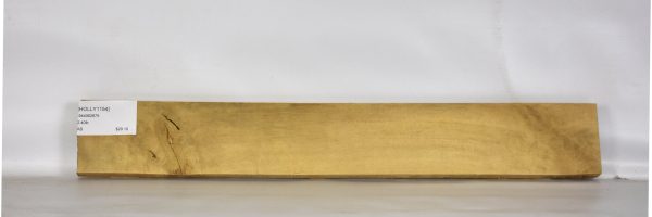 HOLLY1154_1