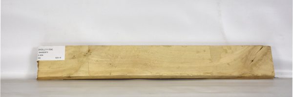 HOLLY1154_2