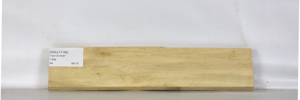 HOLLY1156_2