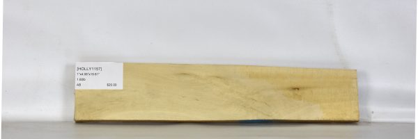 HOLLY1157_1