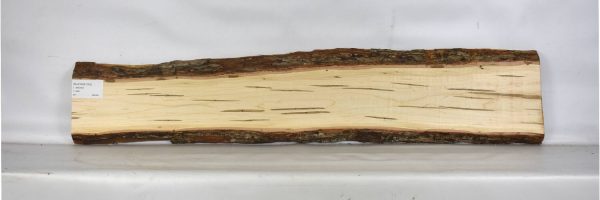 MAPAMB1083_2