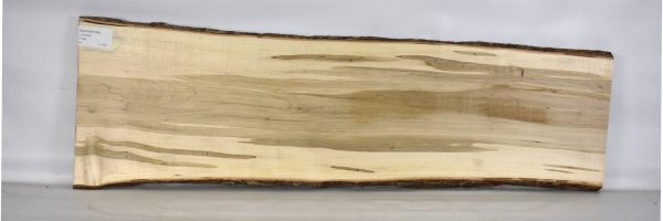 MAPAMB1086_2