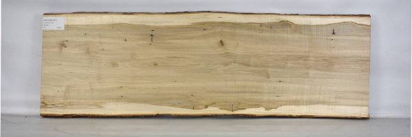MAPAMB1087_2