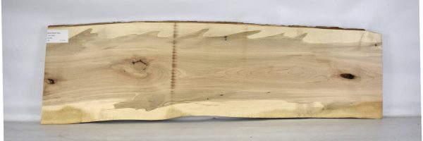 MAPAMB1089_2