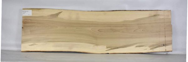 MAPAMB1090_1