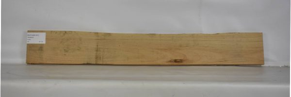 MAPAMB1097_2