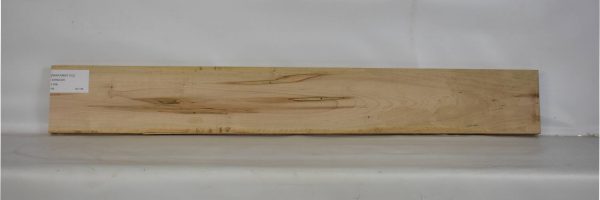 MAPAMB1102_2