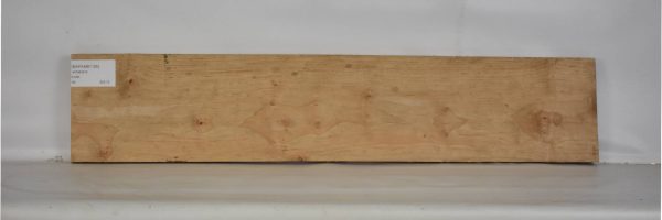 MAPAMB1105_2