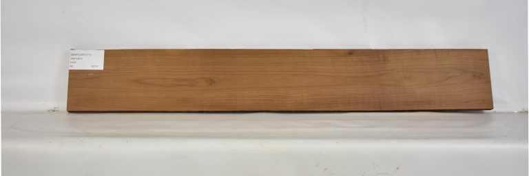 MAPCSR1171_1