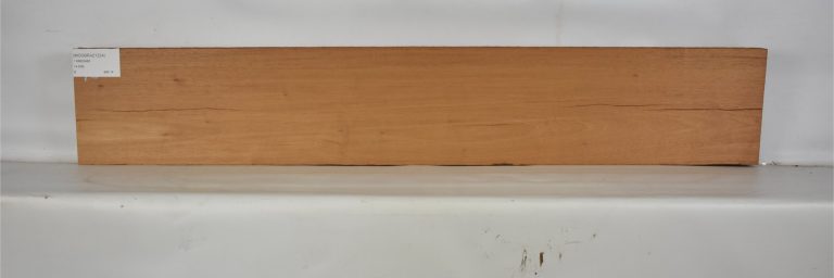 MOGBRAZ1224_1