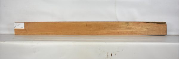 MOGBRAZ1227_1