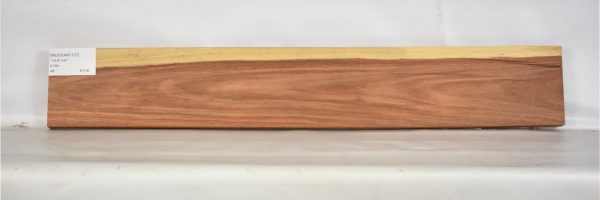 MOGSAN1127_1