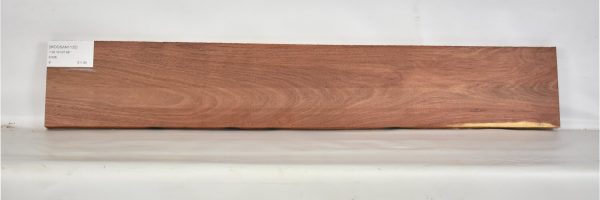 MOGSAN1135_1