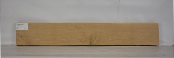 OAKWH1106_1