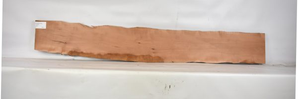 PEARSW1182_2