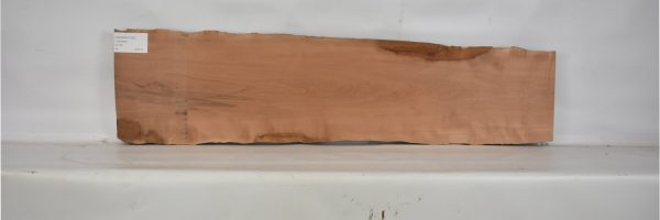 PEARSW1183_2