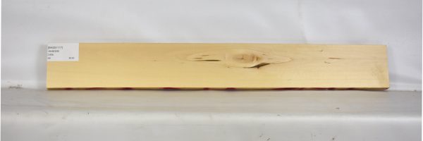 BASS1117_2