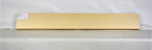 BASS1119_2