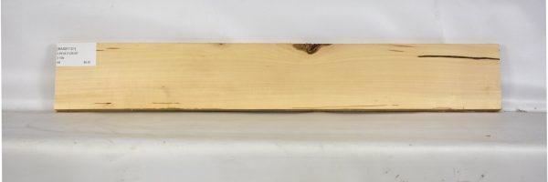 BASS1121_2