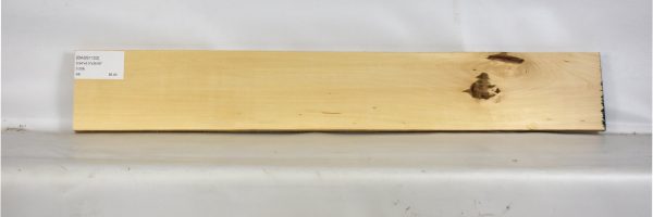 BASS1122_2