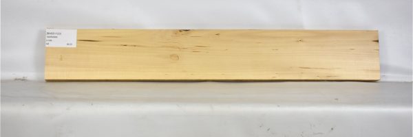 BASS1123_1