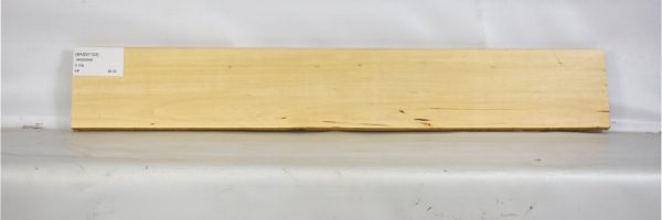 BASS1123_2