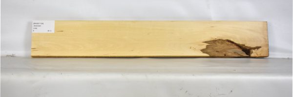 BASS1124_2