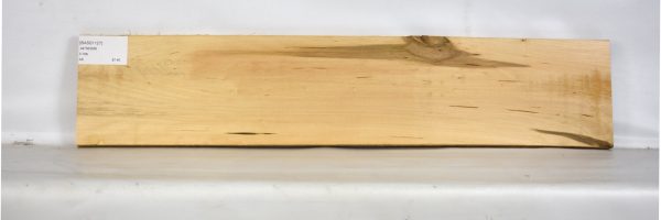 BASS1127_2