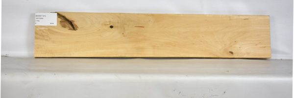 BASS1131_2