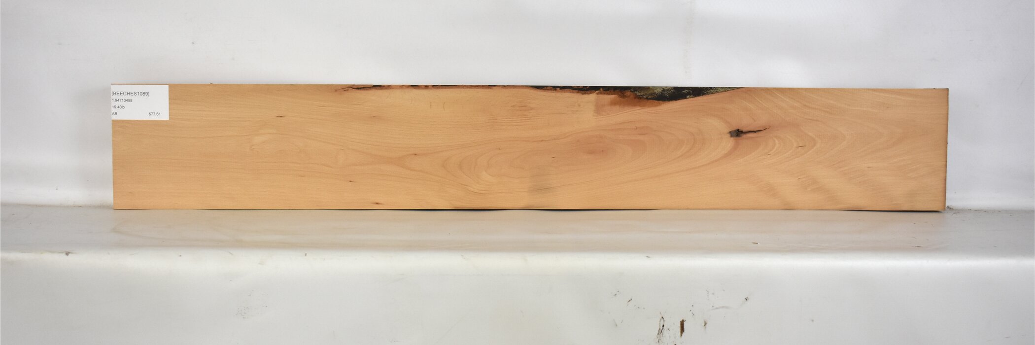 Beech - European 2 BEECHES1089_2