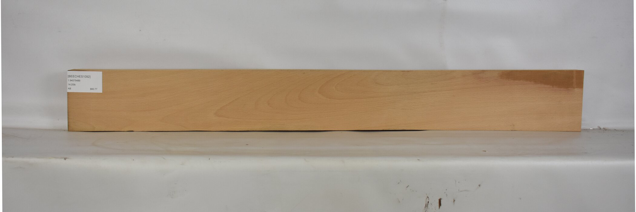 Beech - European 2 BEECHES1092_2