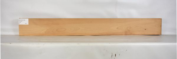 BEECHES1099_1