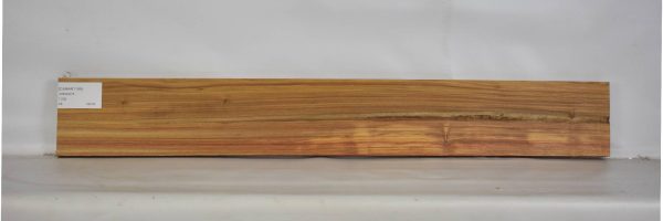 CANAR1199_2