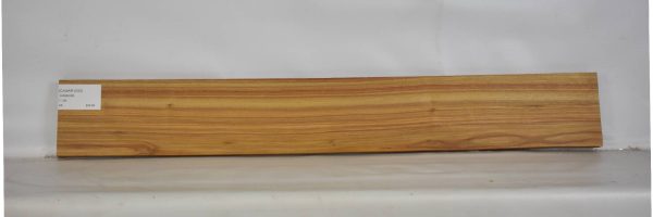 CANAR1200_1