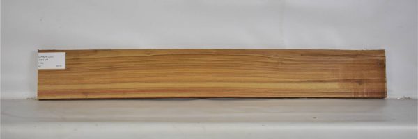 CANAR1200_2