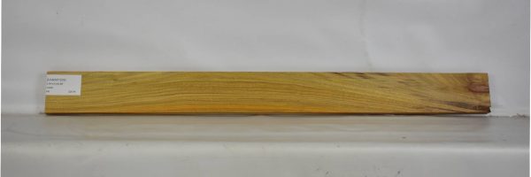 CANAR1205_2