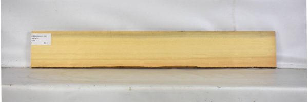 CEDARALAS1266_2