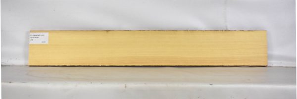 CEDARALAS1267_2
