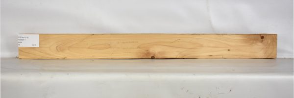 CEDH1073_1