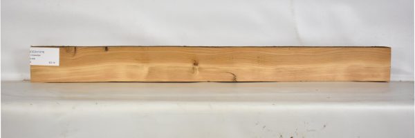 CEDH1074_1