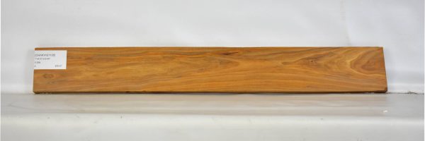 CHAKVIG1105_2