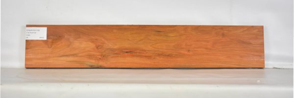 CHAKVIG1118_2